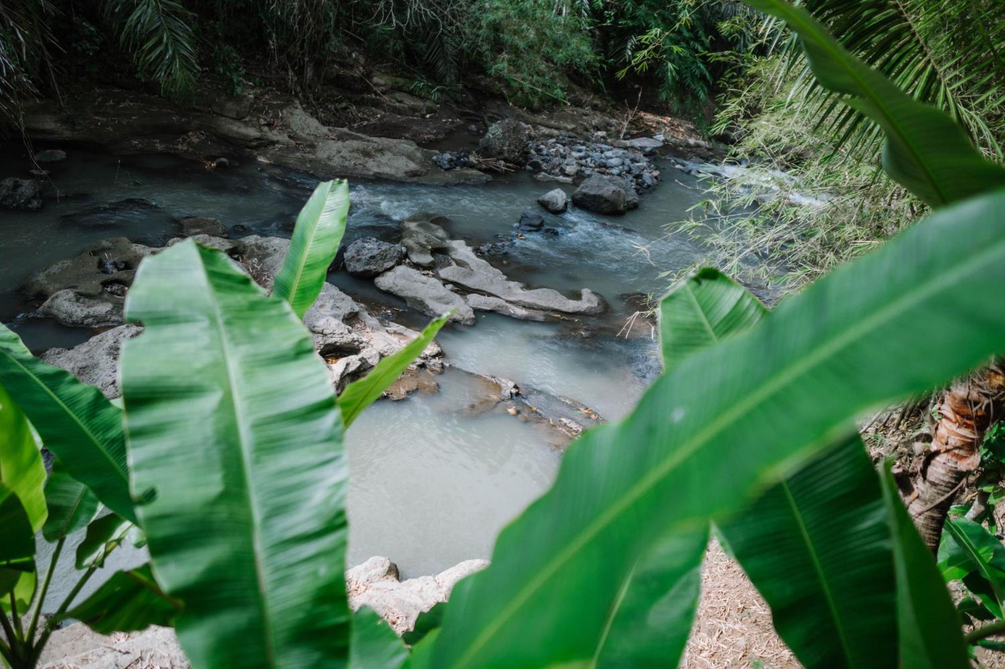 Sun Sang Eco Retreats Hotel Selemadeg Buitenkant foto